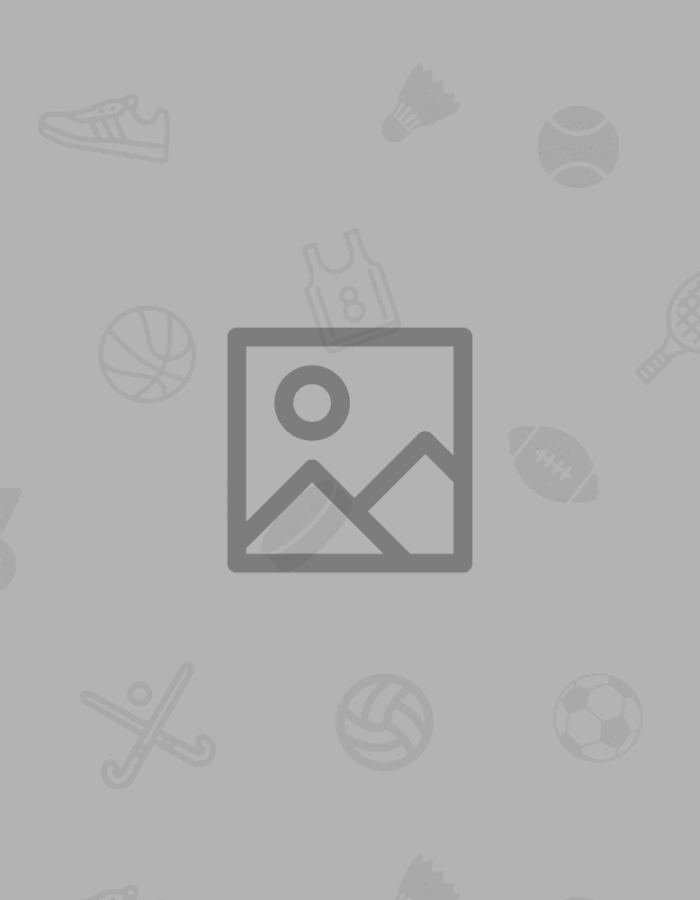 Professional Blender